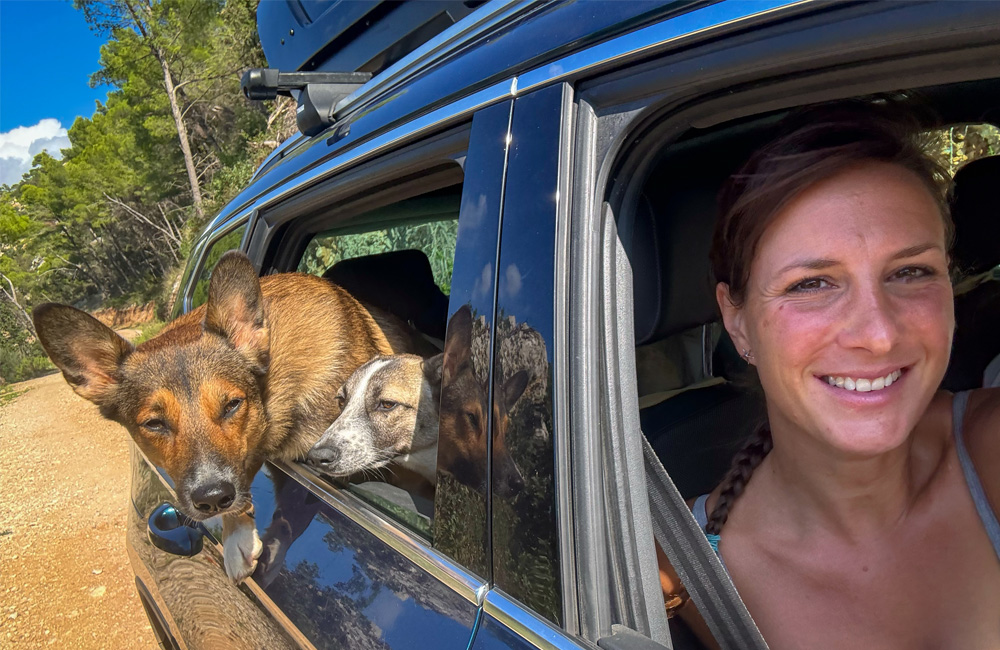 Person traveling with two dogs in a vehicle